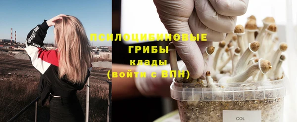 скорость Баксан